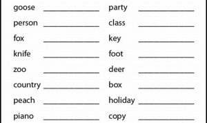 Irregular Plural Nouns Worksheet Grade 3