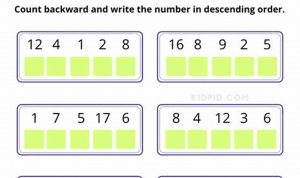 Kindergarten Backward Counting 50 1 Worksheets